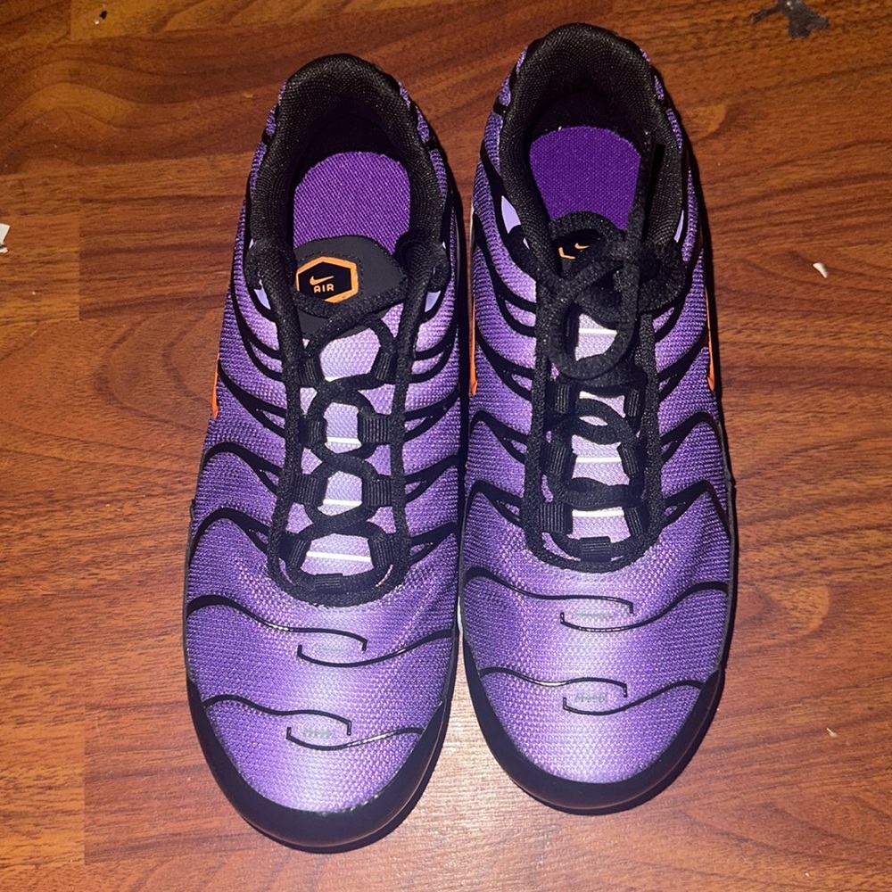 Brand new Nike air max plus